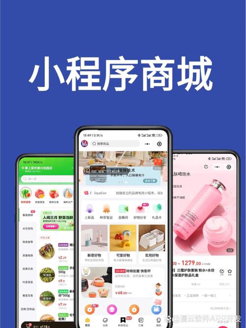 小程序开发：构建高效便捷的服务生态