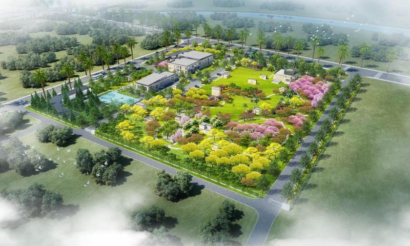 清流网站建设：助力企业开启数字化转型新篇章